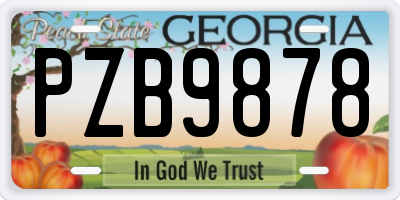 GA license plate PZB9878