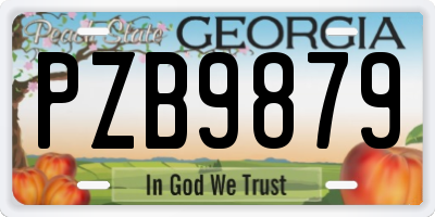 GA license plate PZB9879