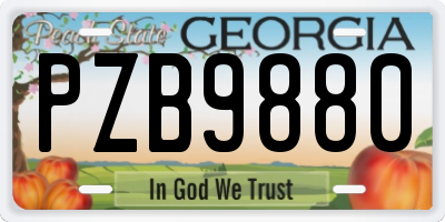 GA license plate PZB9880