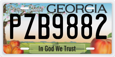 GA license plate PZB9882