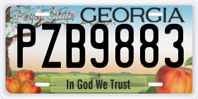 GA license plate PZB9883
