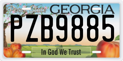 GA license plate PZB9885