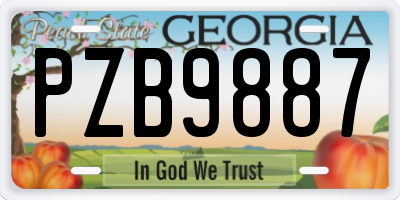 GA license plate PZB9887