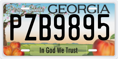 GA license plate PZB9895