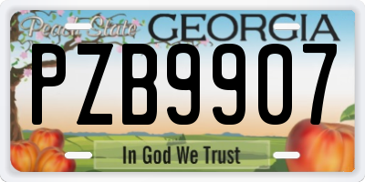 GA license plate PZB9907