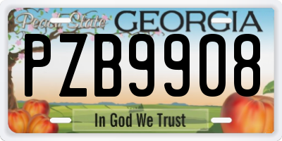 GA license plate PZB9908