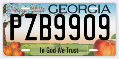 GA license plate PZB9909