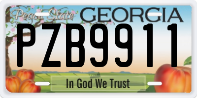 GA license plate PZB9911