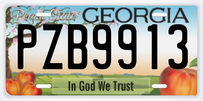 GA license plate PZB9913