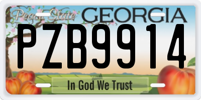 GA license plate PZB9914