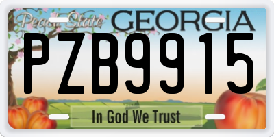GA license plate PZB9915