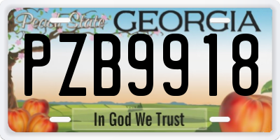 GA license plate PZB9918
