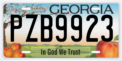 GA license plate PZB9923