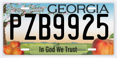 GA license plate PZB9925