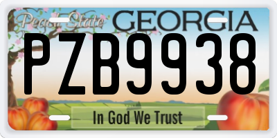 GA license plate PZB9938