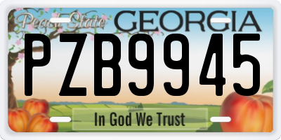 GA license plate PZB9945