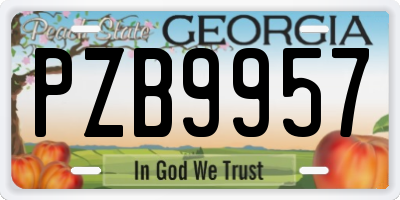 GA license plate PZB9957
