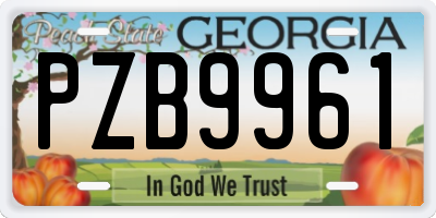 GA license plate PZB9961