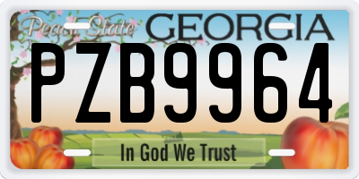 GA license plate PZB9964