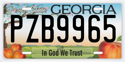 GA license plate PZB9965