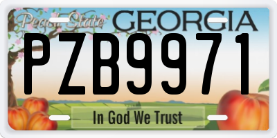 GA license plate PZB9971