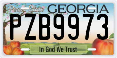 GA license plate PZB9973