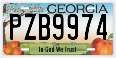GA license plate PZB9974