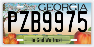 GA license plate PZB9975