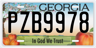 GA license plate PZB9978