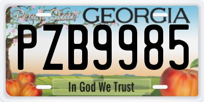 GA license plate PZB9985
