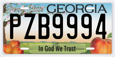 GA license plate PZB9994
