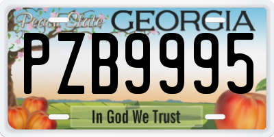 GA license plate PZB9995