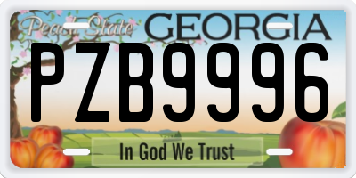 GA license plate PZB9996