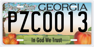 GA license plate PZC0013