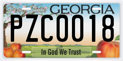 GA license plate PZC0018