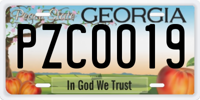 GA license plate PZC0019