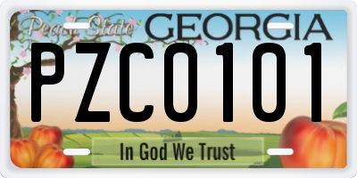 GA license plate PZC0101
