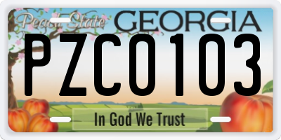 GA license plate PZC0103