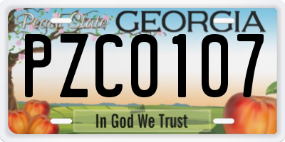 GA license plate PZC0107
