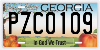 GA license plate PZC0109