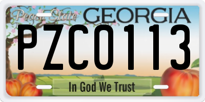 GA license plate PZC0113