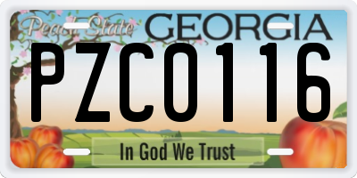 GA license plate PZC0116