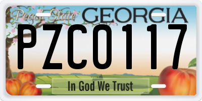 GA license plate PZC0117