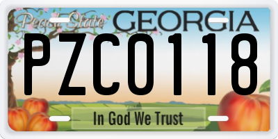 GA license plate PZC0118