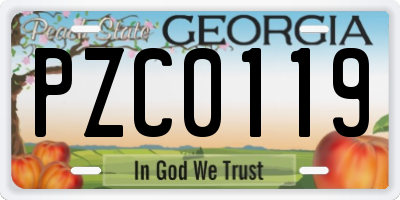 GA license plate PZC0119