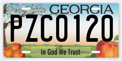 GA license plate PZC0120