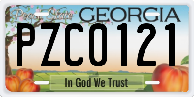 GA license plate PZC0121