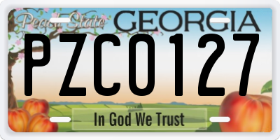 GA license plate PZC0127