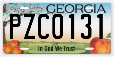 GA license plate PZC0131