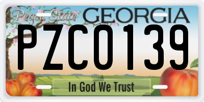 GA license plate PZC0139